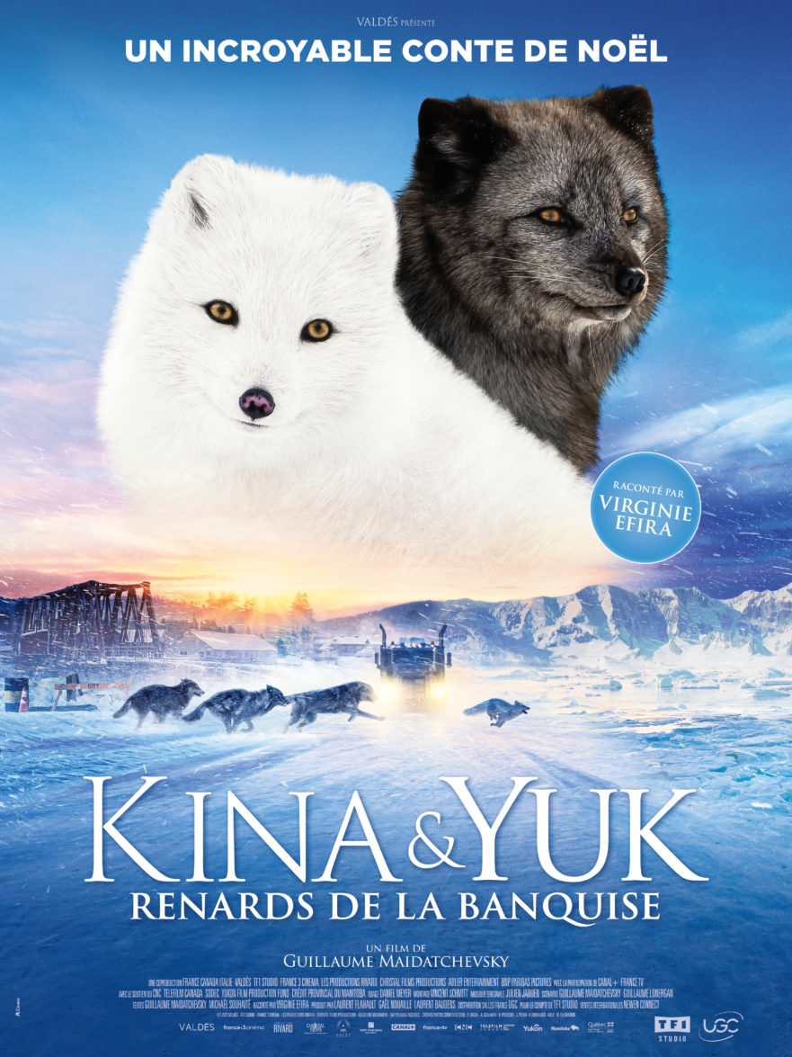 Affiche du film Kina & Yuk : renards de la banquise de Guillaume Maidatchevsky